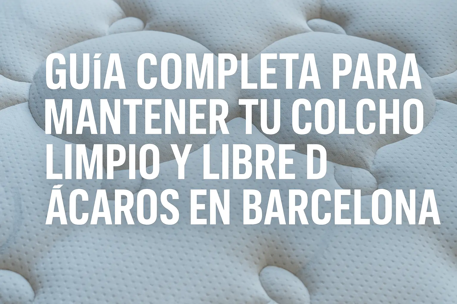 acaros en colchon